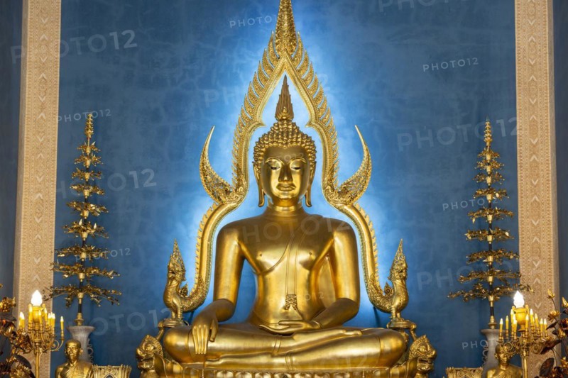 Golden Buddha statue, Bhumispara-mudra, Buddha Gautama at the moment of enlightenment, in the marble temple, Wat Benchamabophit, Bangkok, Thailand, Asia