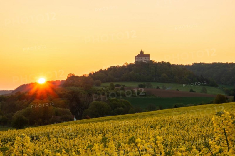 Landscape at sunrise. Beautiful morning landscape with fresh yellow rape fields in spring. Small castle in the yellow fields on a hill. Historic Ronneburg Castle in the middle of nature, Ronneburg, Hesse, Germany, Europe