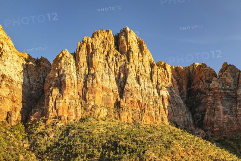 Watchman Mountain, Zion National Park, Colorado Plateau, Utah, USA, Zion National Park, Utah, USA, North America