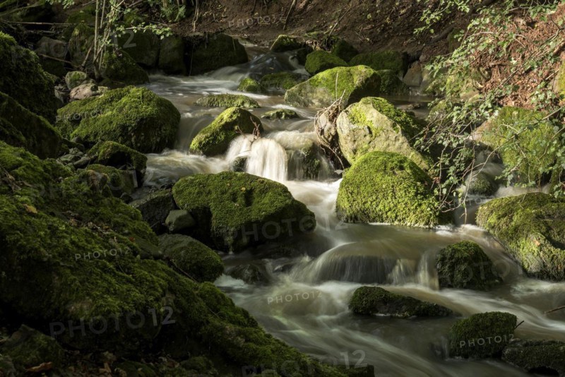 Mountain stream in the forest with mossy basalt rocks, blocks of basalt in the stream bed, Tertiary volcano, flowing water, motion blur, Krummbach, Vogelsberg Volcanic Region nature park Park, Nidda, Wetterau, Hesse, Germany, Europe