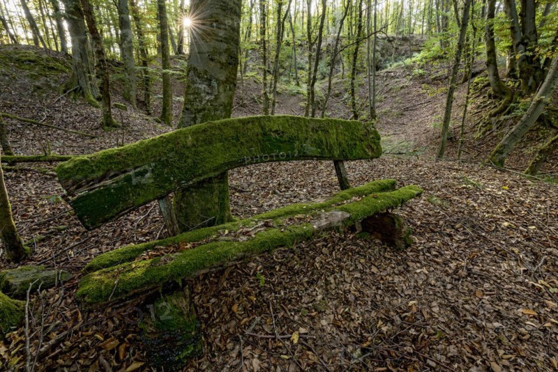 Weathered, rotten and mossy bench made of rough wooden planks, autumn leaves, sun star, beech forest, Raumertswald, volcano, Vogelsberg Volcano Region nature park Park, rest area, Nidda, Wetterau, Hesse, Germany, Europe