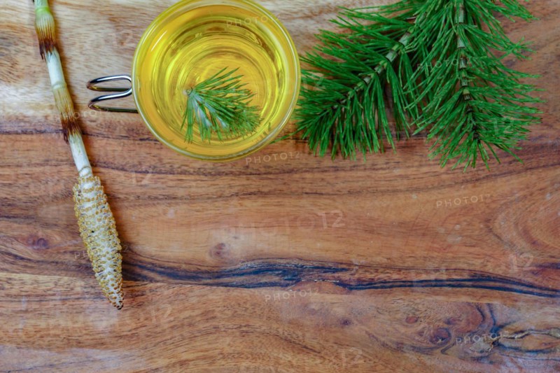 Top view of a infusion of medicinal plant, horsetail Equisetum arvense with fresh branches for health care on a wooden table