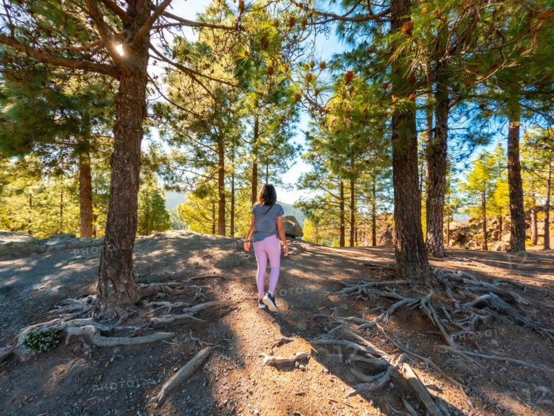 A woman walking in the landscape on the trails up to Roque Nublo in Gran Canaria, Canary Islands