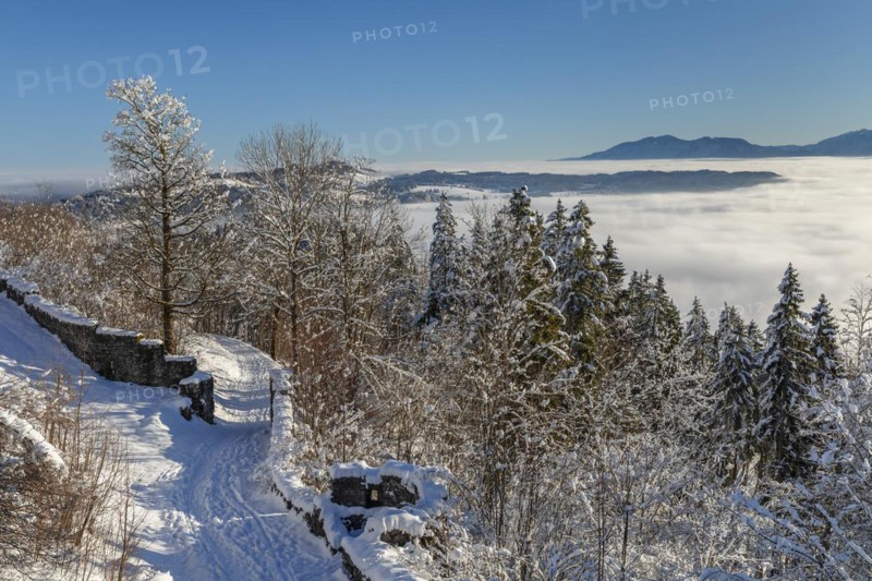 View from the Eisenberg castle ruins towards Fuessen, Allgaeu, Swabia, Bavaria, Germany, Pfronten, Bavaria, Germany, Europe