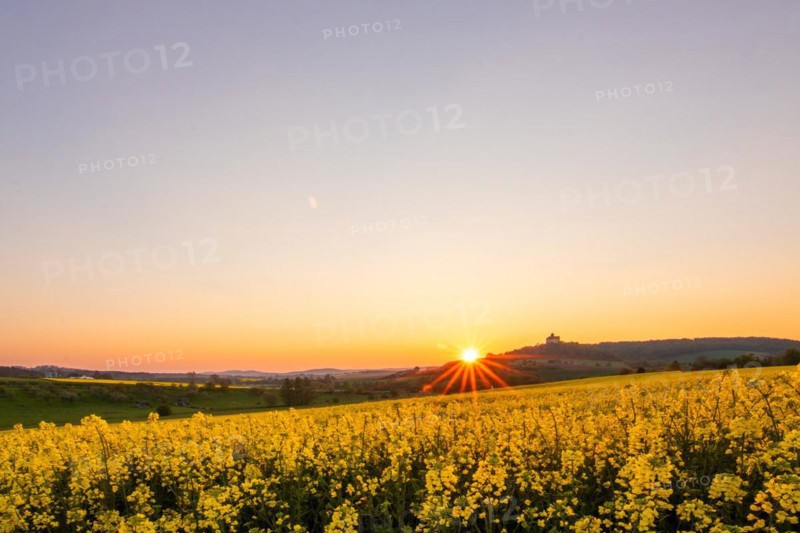 Landscape at sunrise. Beautiful morning landscape with fresh yellow rape fields in spring. Small castle in the yellow fields on a hill. Historic Ronneburg Castle in the middle of nature, Ronneburg, Hesse, Germany, Europe