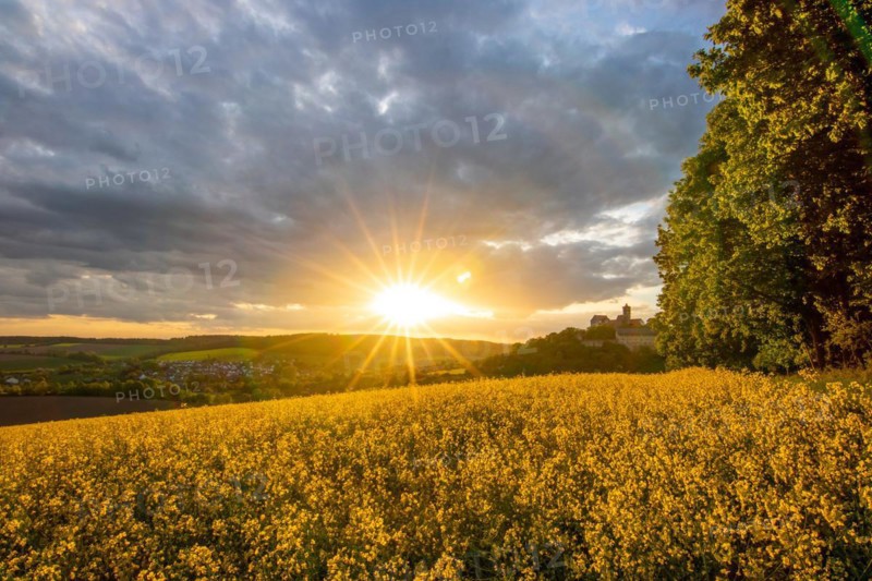 Landscape at sunrise. Beautiful morning landscape with fresh yellow rape fields in spring. Small castle in the yellow fields on a hill. Historic Ronneburg Castle in the middle of nature, Ronneburg, Hesse, Germany, Europe