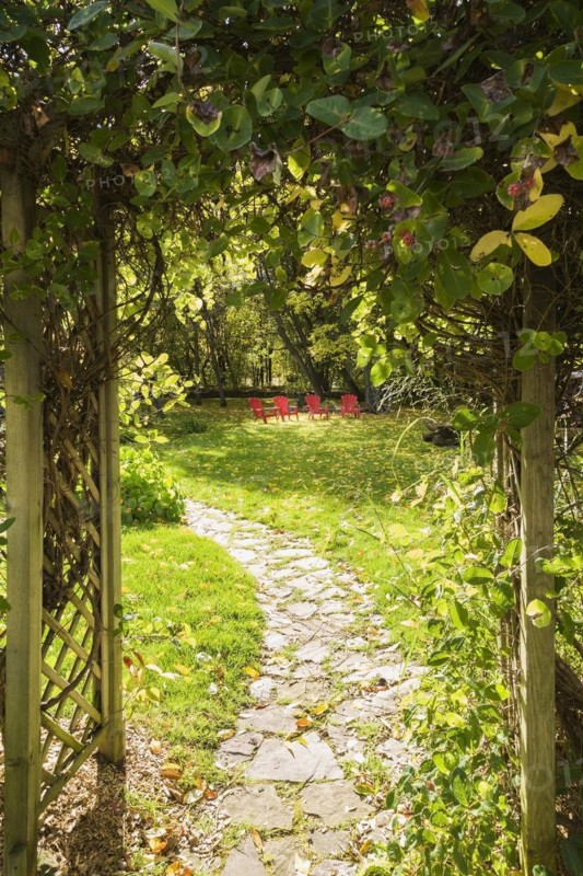Four red Adirondack chairs on green grass lawn with fallen Fraxinus velutina, Velvet Ash tree leaves and flagstone path through wooden lattice arbour covered with Lonicera x heckrottii, Honeysuckle climbing shrub in backyard garden in autumn, Quebec, Canada, North America