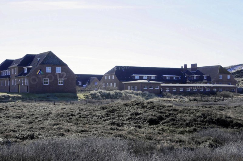 List Youth Hostel, A row of attached brick houses bordering a wild meadow, Sylt, North Frisian Island, Schleswig-Holstein, Germany, Europe