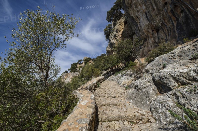 Cobbled path to the castle of Alaro, Alaro, Mallorca, Balearic Islands, Spain, Europe