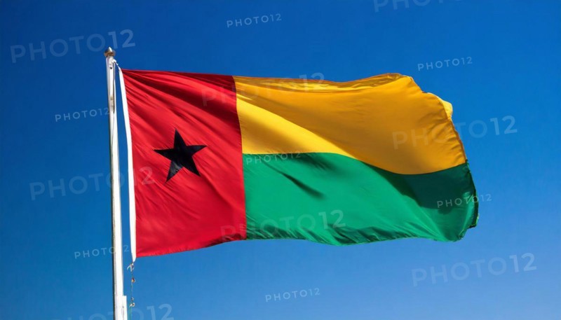 The flag of Guinea-Bissau, fluttering in the wind, isolated, against the blue sky