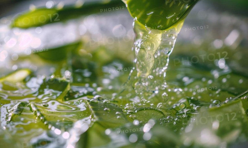 Close-up of aloe vera gel being extracted and blended with botanical oils and essences AI generated