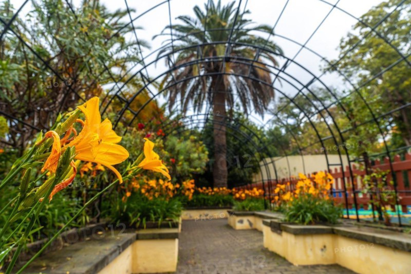 Beautiful path in a botanical garden, sustainable tourism concept in Arucas, Gran Canaria. Spain