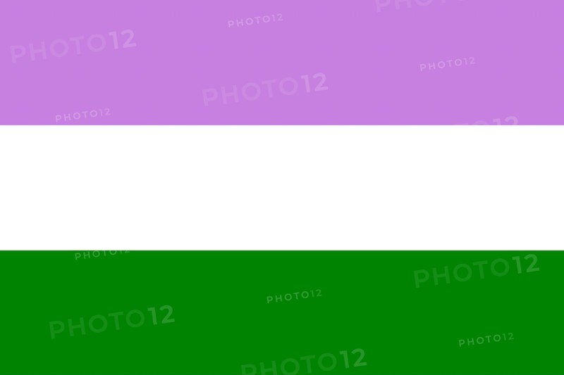 Illustration of the Genderqueer Pride Flag. Movement LGBT. Symbol of sexual minorities