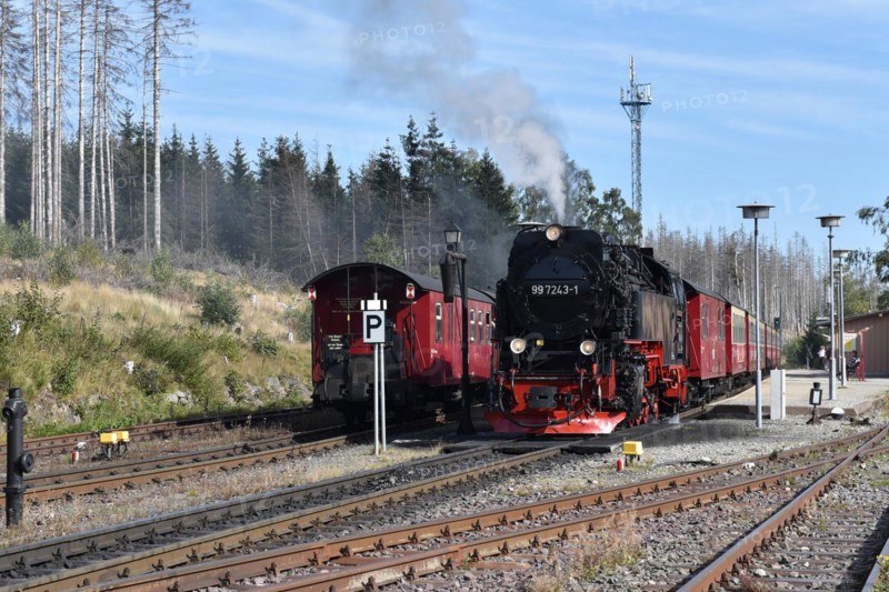 The Harz Narrow Gauge Railway, Brocken Railway, Selketal Railway in the Harz Mountains, Saxony-Anhalt, Germany, Europe