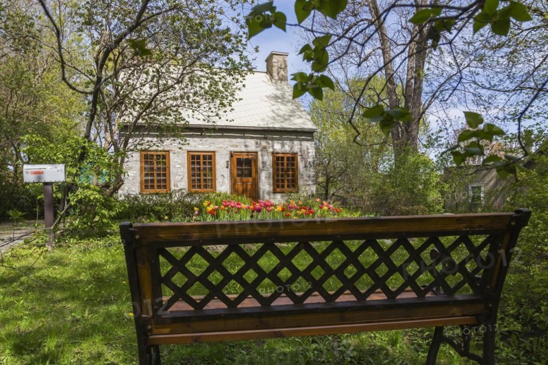 Old circa 1750 Canadiana style fieldstone house facade with brown stained wooden windows, door and Tulipa, Tulips in front yard in spring, Quebec, Canada, North America