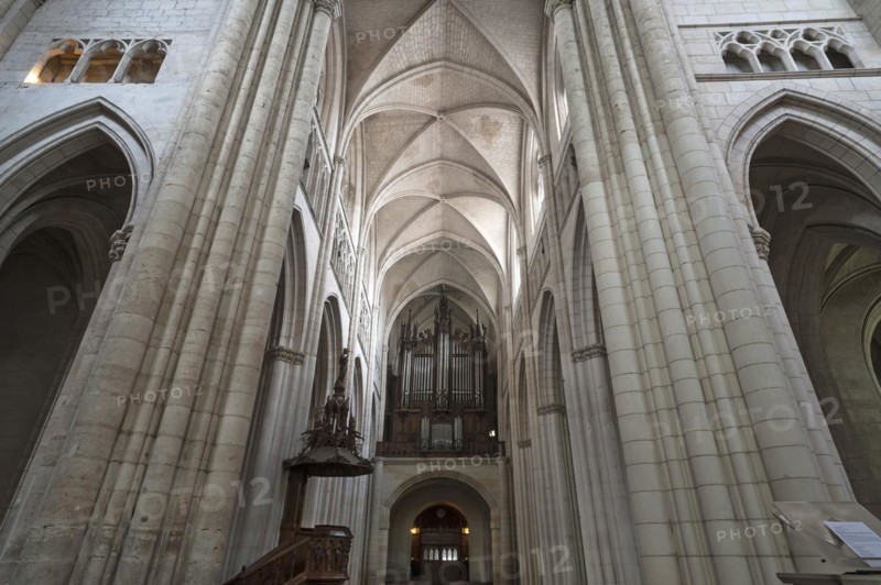 Nave from the 13th century, with pulpit and organ loft from the 19th century, Notre Dame de l'Assomption Cathedral, Lucon, Vendee, France, Europe