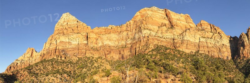 Watchman Mountain, Zion National Park, Colorado Plateau, Utah, USA, Zion National Park, Utah, USA, North America