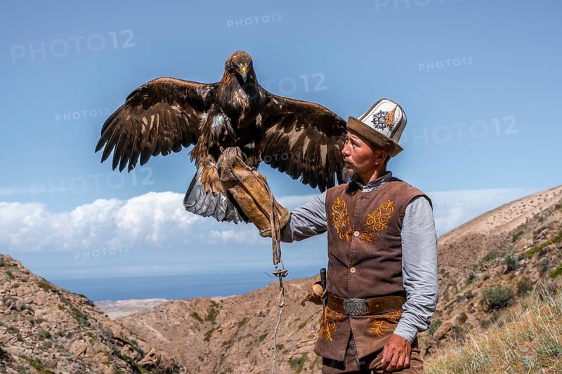 Traditional Kyrgyz eagle hunter with eagle in the mountains, hunting, eagle spreads its wings, near Bokonbayevo, Issyk Kul region, Kyrgyzstan, Asia