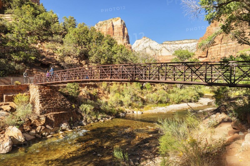 Virgin River and Angel's Landing, Zion National Park, Colorado Plateau, Utah, USA, Zion National Park, Utah, USA, North America