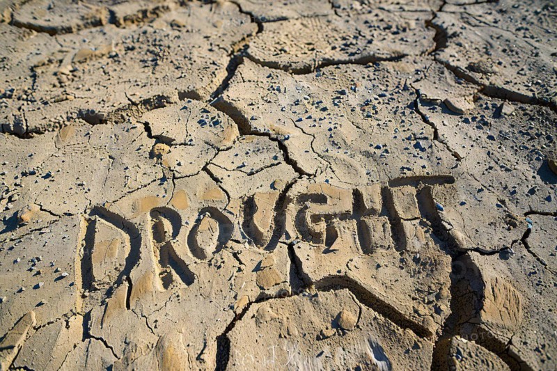 Dry ckracked earth with text 'Drought'. KI generiert, generiert, AI generated