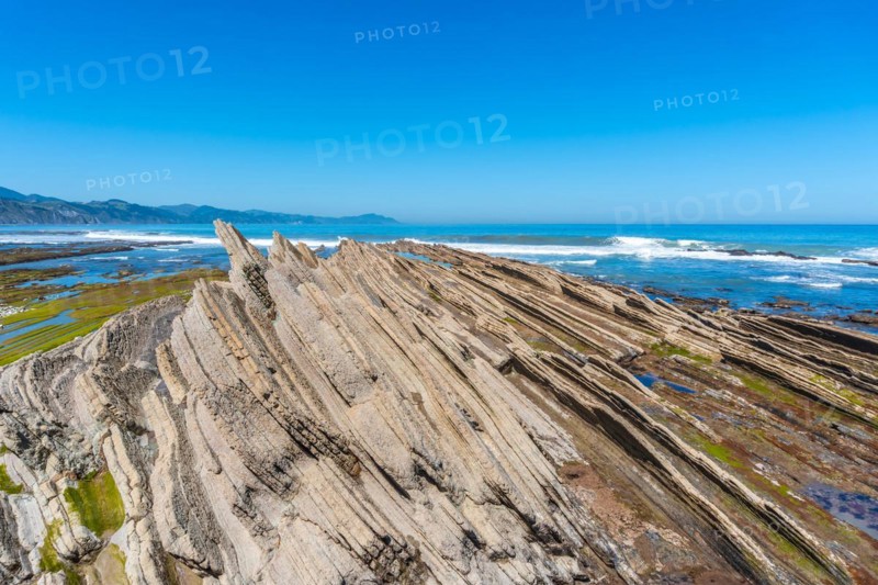 Flysch Basque Coast Geopark in Zumaia with low seas with marine vegetation, Gipuzkoa