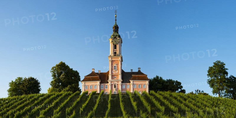 Vineyards, Birnau pilgrimage church, baroque church, exterior view, Uhldingen-Muehlhofen on Lake Constance, Baden-Wuerttemberg, Germany, Europe