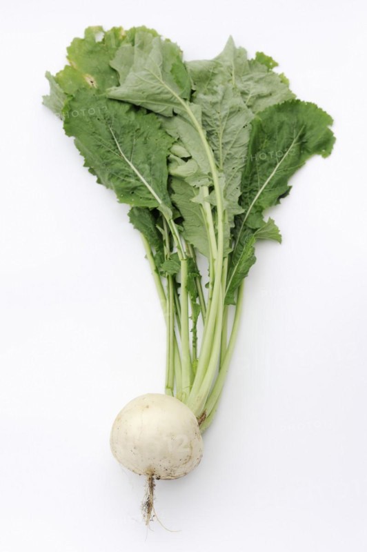 Turnip or navette (Brassica rapa ssp. rapa var. majalis), root and leaves on white background, vegetable plant