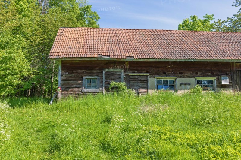 Old abandoned red barn in the countryside with a overgrown yard in the summer