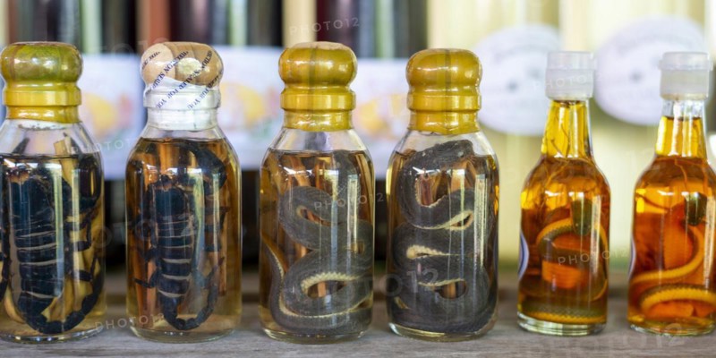 Choum, rice liquor, rice wine with pickled scorpions and snakes for sale, Laos, Asia