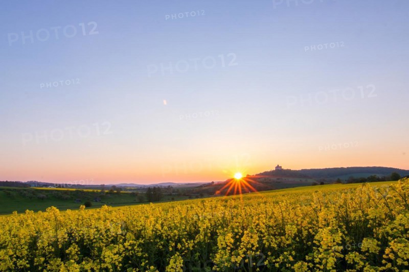 Landscape at sunrise. Beautiful morning landscape with fresh yellow rape fields in spring. Small castle in the yellow fields on a hill. Historic Ronneburg Castle in the middle of nature, Ronneburg, Hesse, Germany, Europe