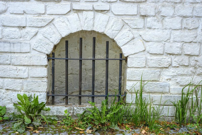 Barred cellar window and dandelion in the historic old town of Rostock, Mecklenburg-Vorpommern, Germany, Europe