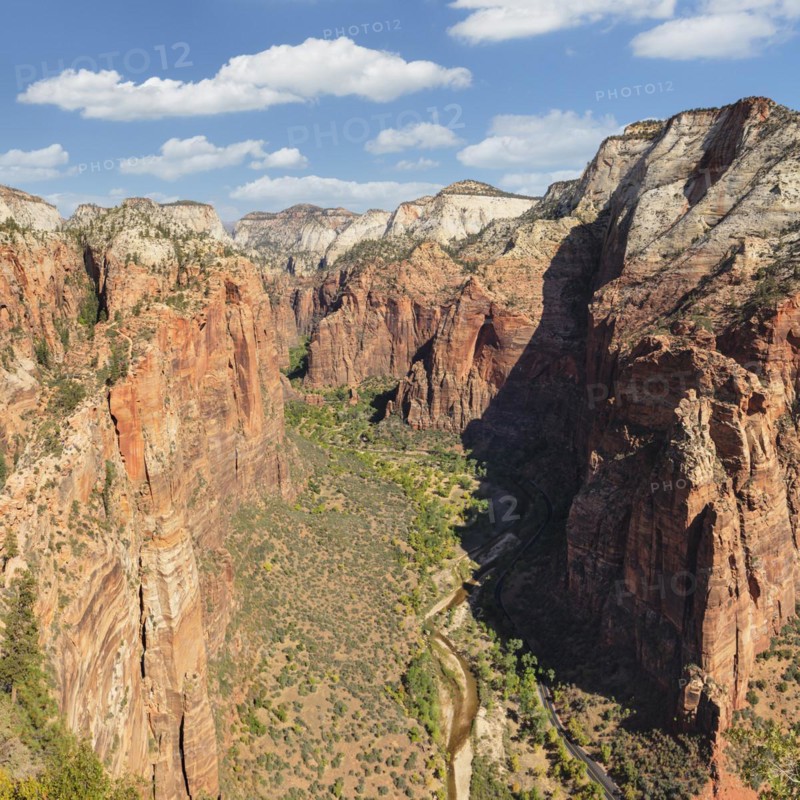 View of Zion Canyon from Angels Landing, Zion National Park, Colorado Plateau, Utah, USA, Zion National Park, Utah, USA, North America