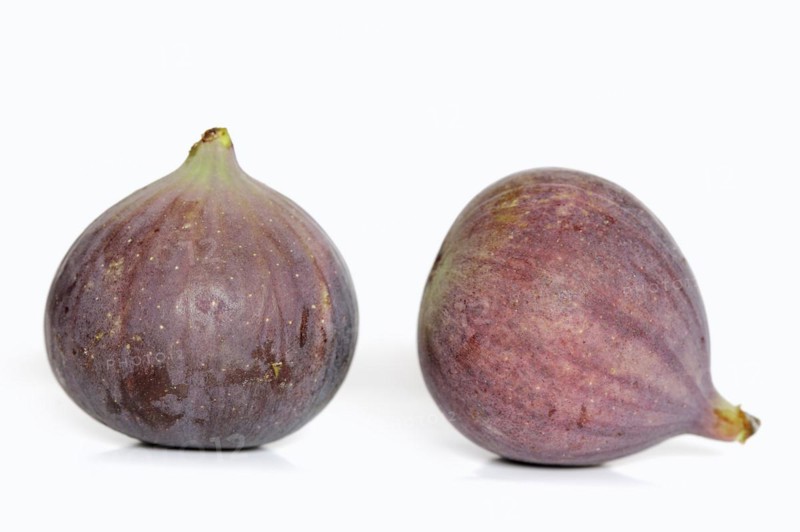 Real fig or fig tree (Ficus carica), ripe figs against a white background