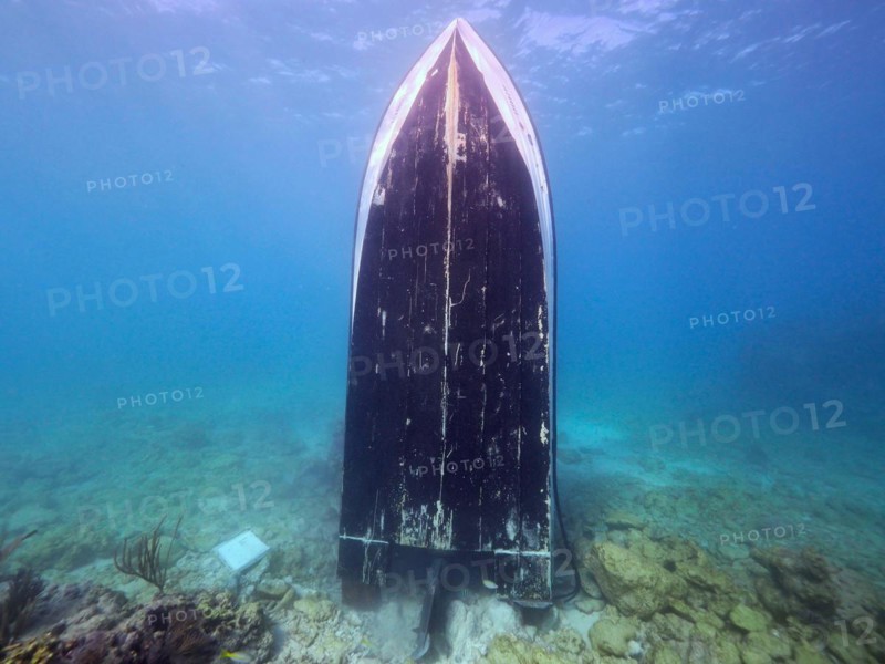 Upright wreck of sport fishing boat, dive site John Pennekamp Coral Reef State Park, Key Largo, Florida Keys, Florida, USA, North America