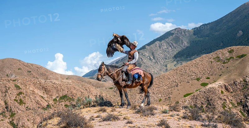 Traditional Kyrgyz eagle hunter riding with eagle in the mountains, eagle spreading its wings, hunting on horseback, near Bokonbayevo, Issyk Kul region, Kyrgyzstan, Asia