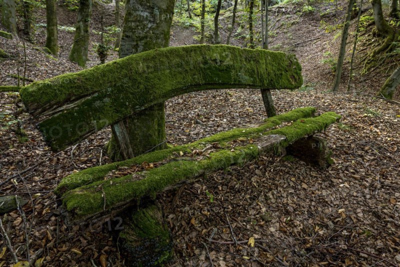 Weathered, rotten and mossy bench made of rough wooden planks, autumn leaves, beech forest, Raumertswald, volcano, Vogelsberg Volcano Region nature park Park, rest area, Nidda, Wetterau, Hesse, Germany, Europe