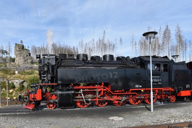 The Harz Narrow Gauge Railway, Brocken Railway, Selketal Railway in the Harz Mountains, Saxony-Anhalt, Germany, Europe