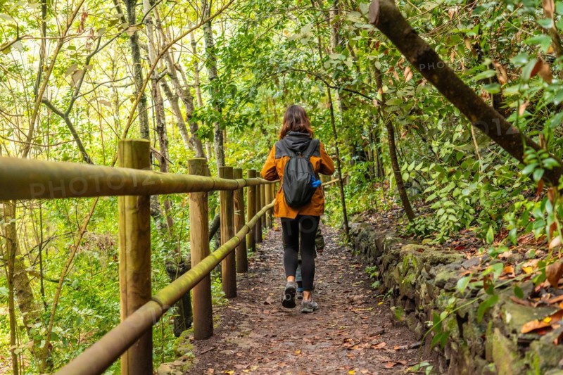 Walking along the path in the Laurisilva forest of Los tilos de Moya in Doramas, Gran Canaria