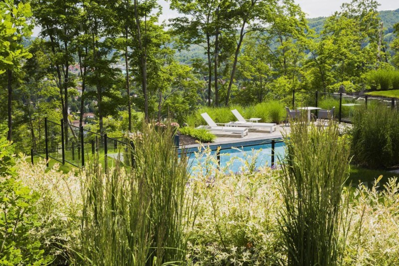 View through ornamental grass plants and shrubs of two white long chairs on edge of in-ground swimming pool enclosed by clear glass and black metal fence in residential backyard in summer, Quebec, Canada, North America