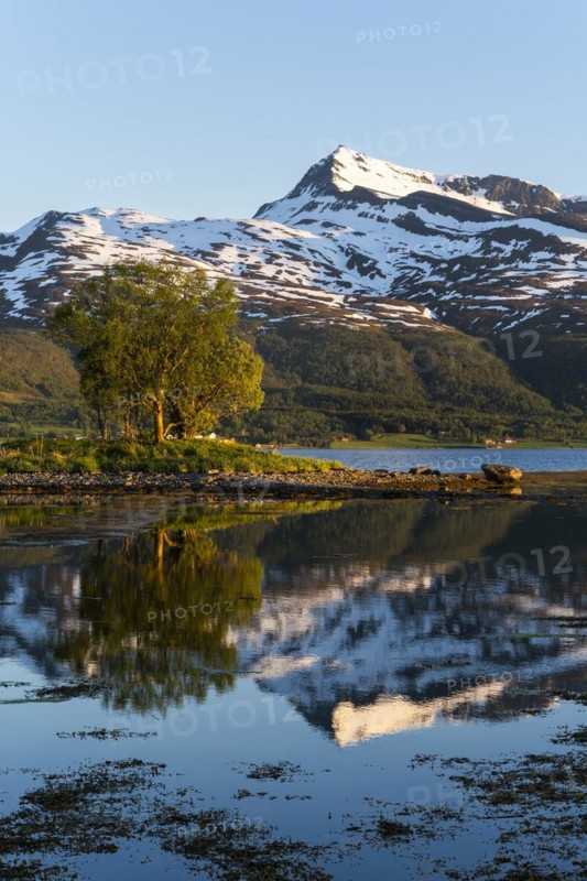 Landscape in Norway. The Balsfjord with a view of the mountain Fugltinden. A small island with a tree in the sea. At night at the time of the midnight sun, good weather, blue sky. Early summer. Reflection. Near Laksvatn, Troms, Norway, Europe