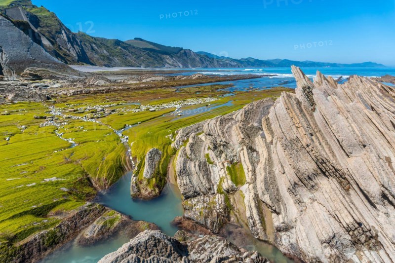 Landscape of the Flysch Basque Coast geopark in Zumaia with low seas with marine vegetation, Gipuzkoa