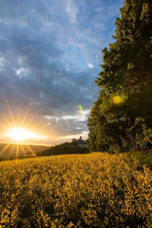 Landscape at sunrise. Beautiful morning landscape with fresh yellow rape fields in spring. Small castle in the yellow fields on a hill. Historic Ronneburg Castle in the middle of nature, Ronneburg, Hesse, Germany, Europe