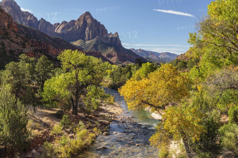 View from Virgin River to Watchman Mountain, Zion National Park, Colorado Plateau, Utah, USA, Zion National Park, Utah, USA, North America