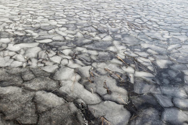 Winter, ice pattern formation, Chateauguay River, Province of Quebec, Canada, North America