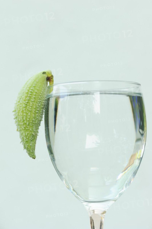 Common milkweed (Asclepias syriaca), fruit as a decorative parrot on a wine glass