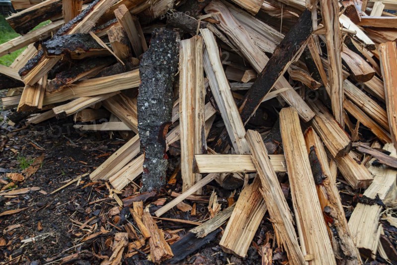 A pile of logs, freshly split firewood