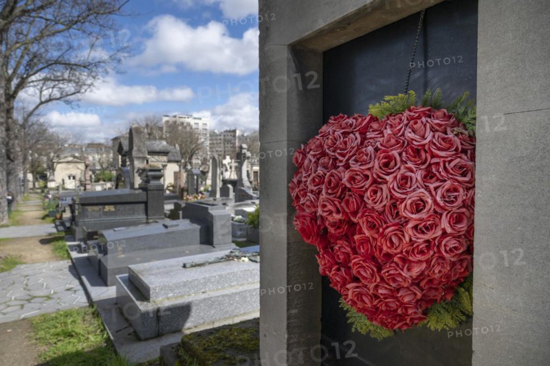 Heart of roses, Montparnasse Cemetery, Paris, France, Europe