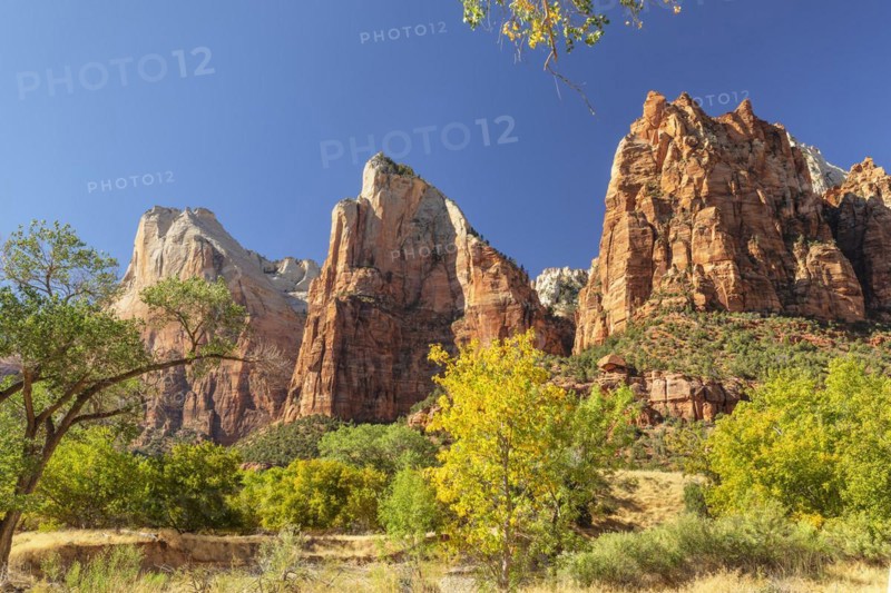 Court of Patriarchs, Zion National Park, Colorado Plateau, Utah, USA, Zion National Park, Utah, USA, North America