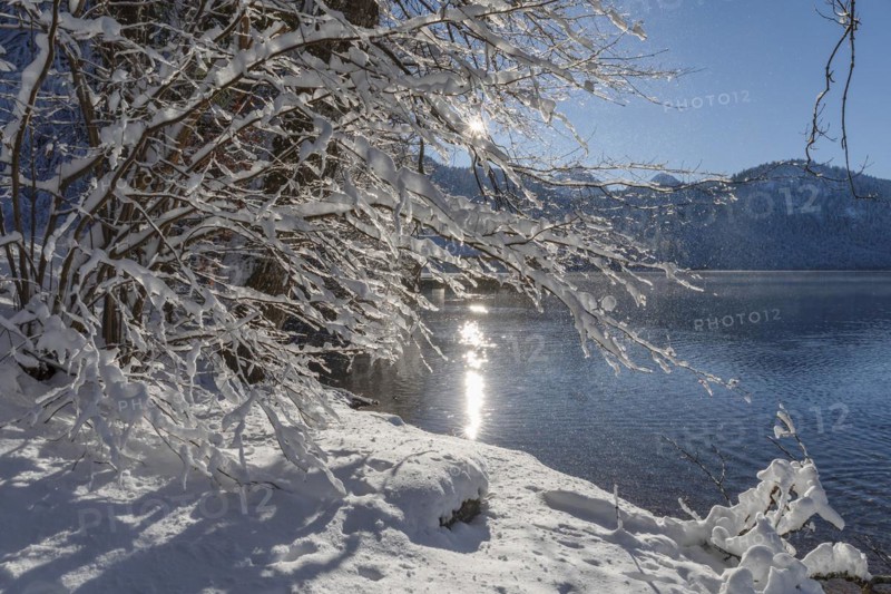 Hotel Alpenrose am Alpsee, Schwangau, Ostallgaeu, Swabia, Bavaria, Germany, Schwangau, Ostallgaeu, Bavaria, Germany, Europe