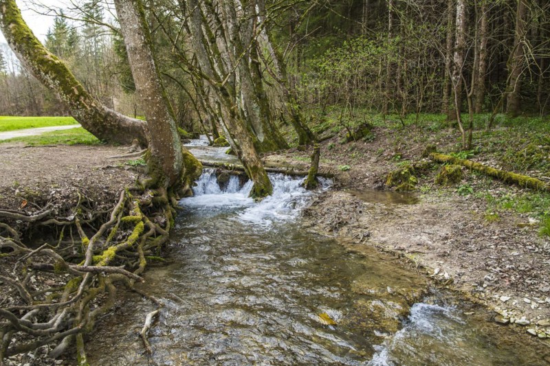 Course of the Wiesaz stream in the Wiesaz valley in the Swabian Alb near Goenningen, Baden-Wuerttemberg, Germany, Europe